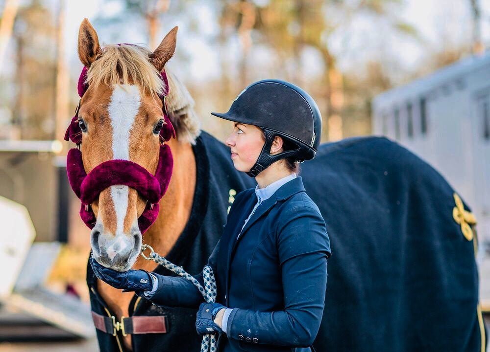 Cavar - An investment for your horse
