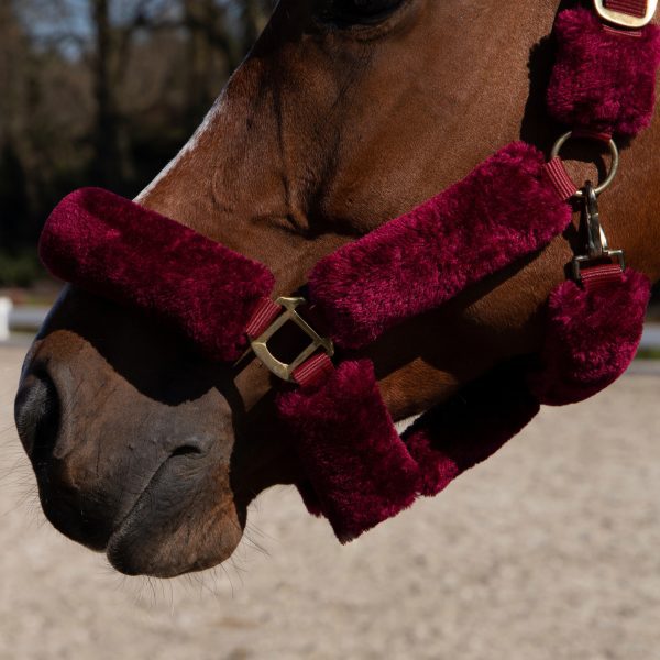 Cavar Bont halster Bordeaux Rood - Afbeelding 2