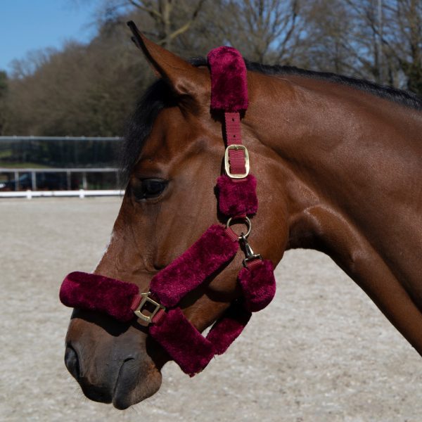 Cavar Bont halster Bordeaux Rood - Afbeelding 3