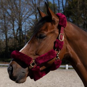 Cavar Bont halster Bordeaux Rood