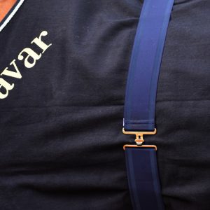 Cavar Dekensingel Donkerblauw