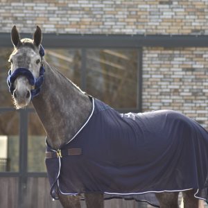 Cavar フライラグ ネイビー